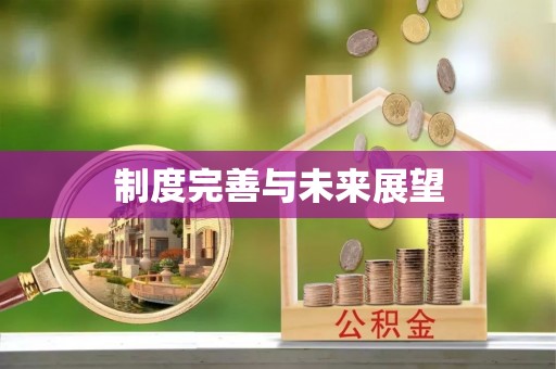 肥乡制度完善与未来展望