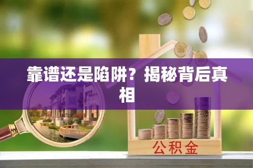 肥乡靠谱还是陷阱？揭秘背后真相