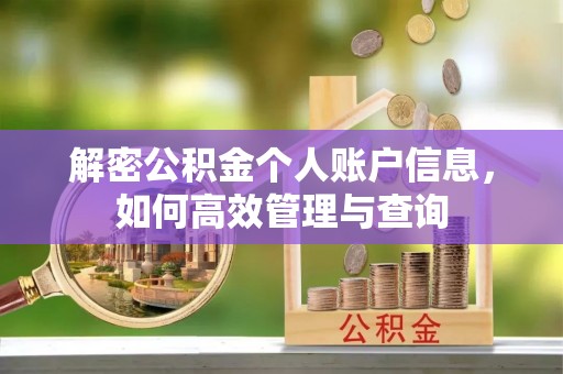 肥乡解密公积金个人账户信息，如何高效管理与查询