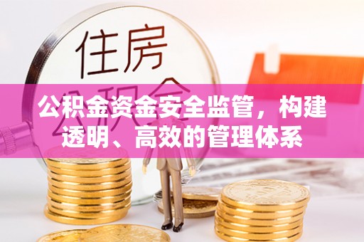 肥乡公积金资金安全监管，构建透明、高效的管理体系