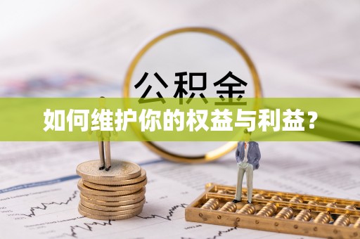 肥乡如何维护你的权益与利益？