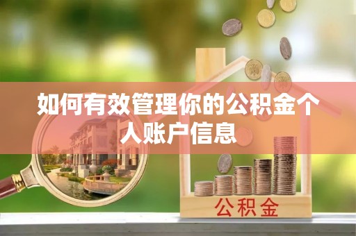肥乡如何有效管理你的公积金个人账户信息