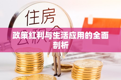 肥乡政策红利与生活应用的全面剖析