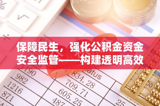 肥乡保障民生，强化公积金资金安全监管——构建透明高效的管理体系