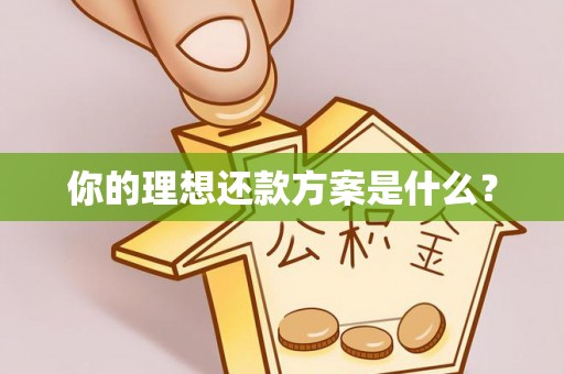 肥乡你的理想还款方案是什么？