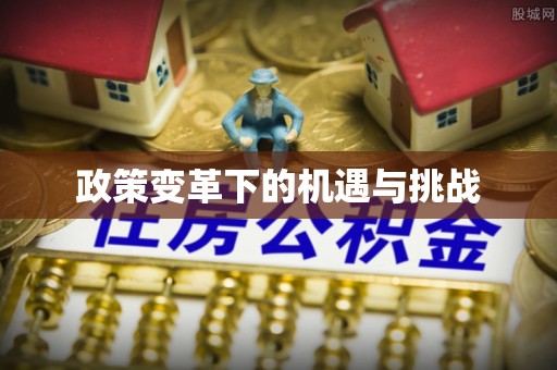 肥乡政策变革下的机遇与挑战