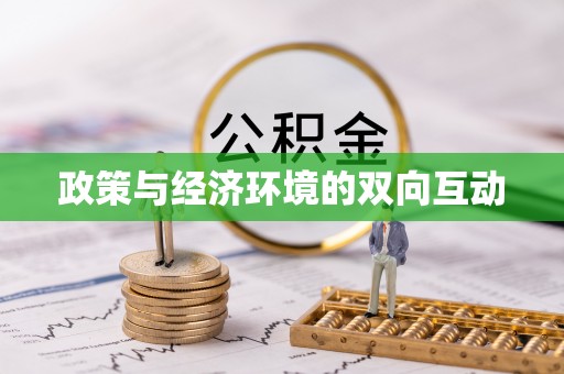 肥乡政策与经济环境的双向互动