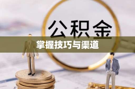 肥乡掌握技巧与渠道