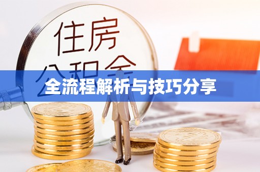 肥乡全流程解析与技巧分享
